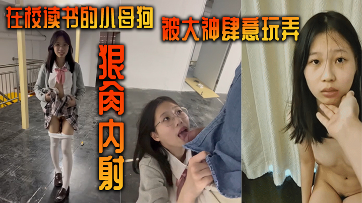 在校读书的小母狗被大神肆意玩弄狠肏内射